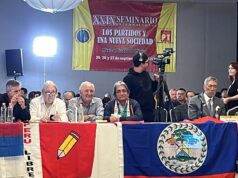 OPEIR participó del XXIX Seminario Internacional “Los Partidos y una Nueva Sociedad” en México